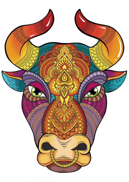 Bámulatos bika fa puzzle