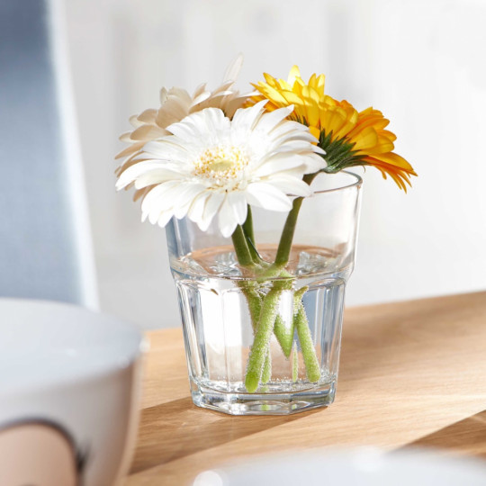 GIBRALTAR üvegpohár 180ml