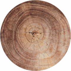 CORKWOOD alátét barna